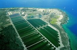 Cyanotech-facility-Hawaii.jpg