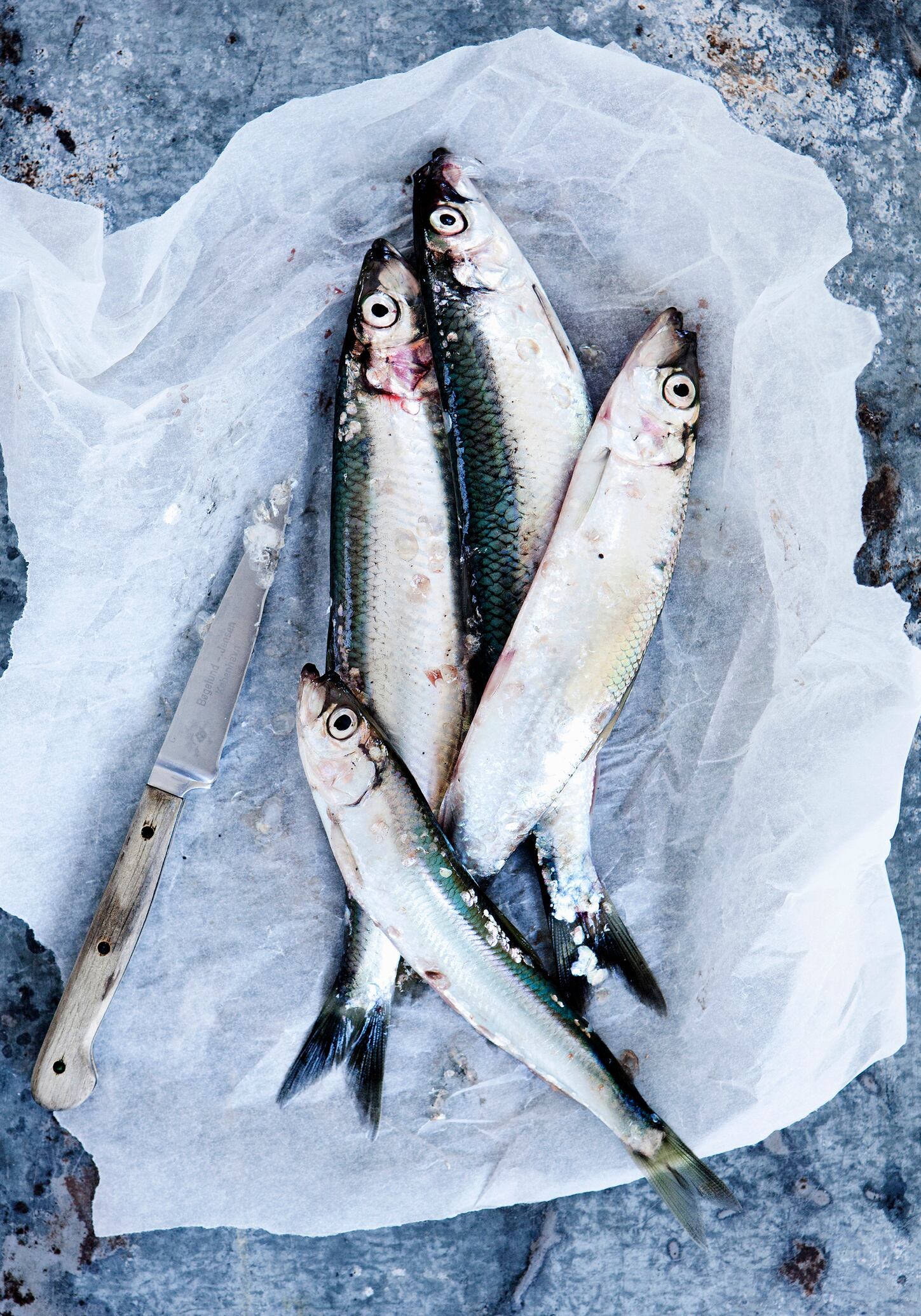 Prized for its rich flavor and nutritional value, herring has long been an important natural resource for the Nordic countries.