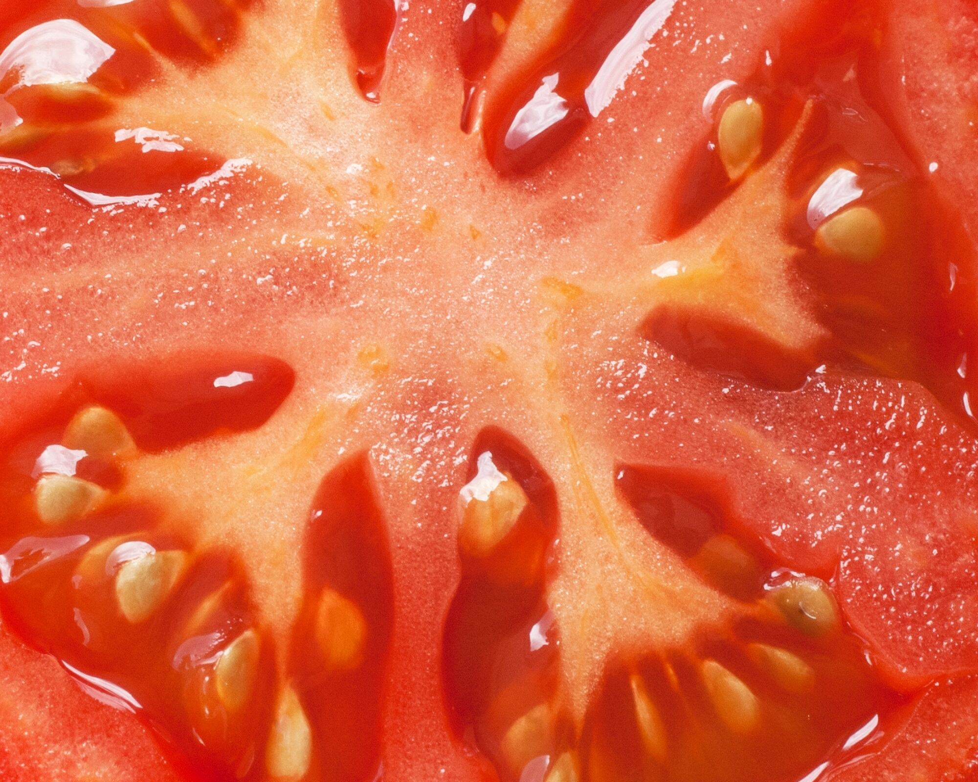 Ingredient-insights-lycopene-supplements-improve-skin-health.jpg