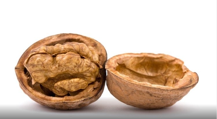 Researchers demonstrate walnuts’ cholesterol-lowering effect in older adults 