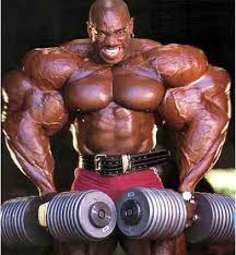 bodybuilder.jpg