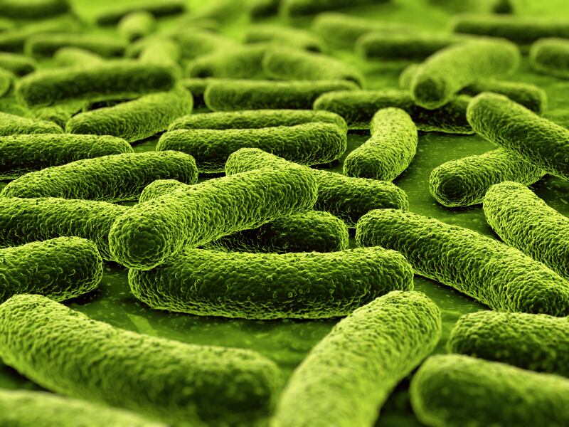 bacteria_green_closeup_iStock_Free.jpg
