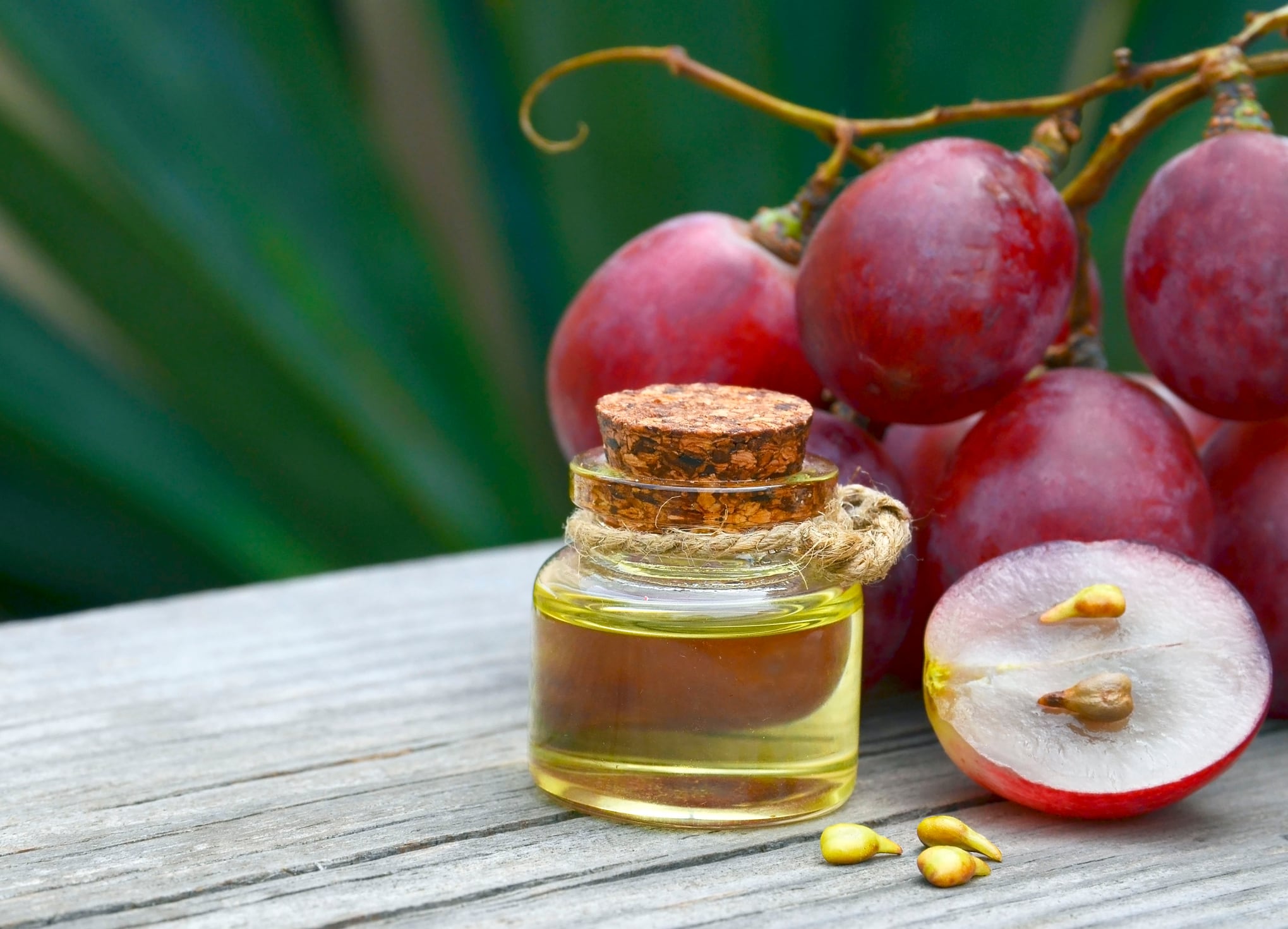 Study describes cardiovascular effects of grape seed extract 