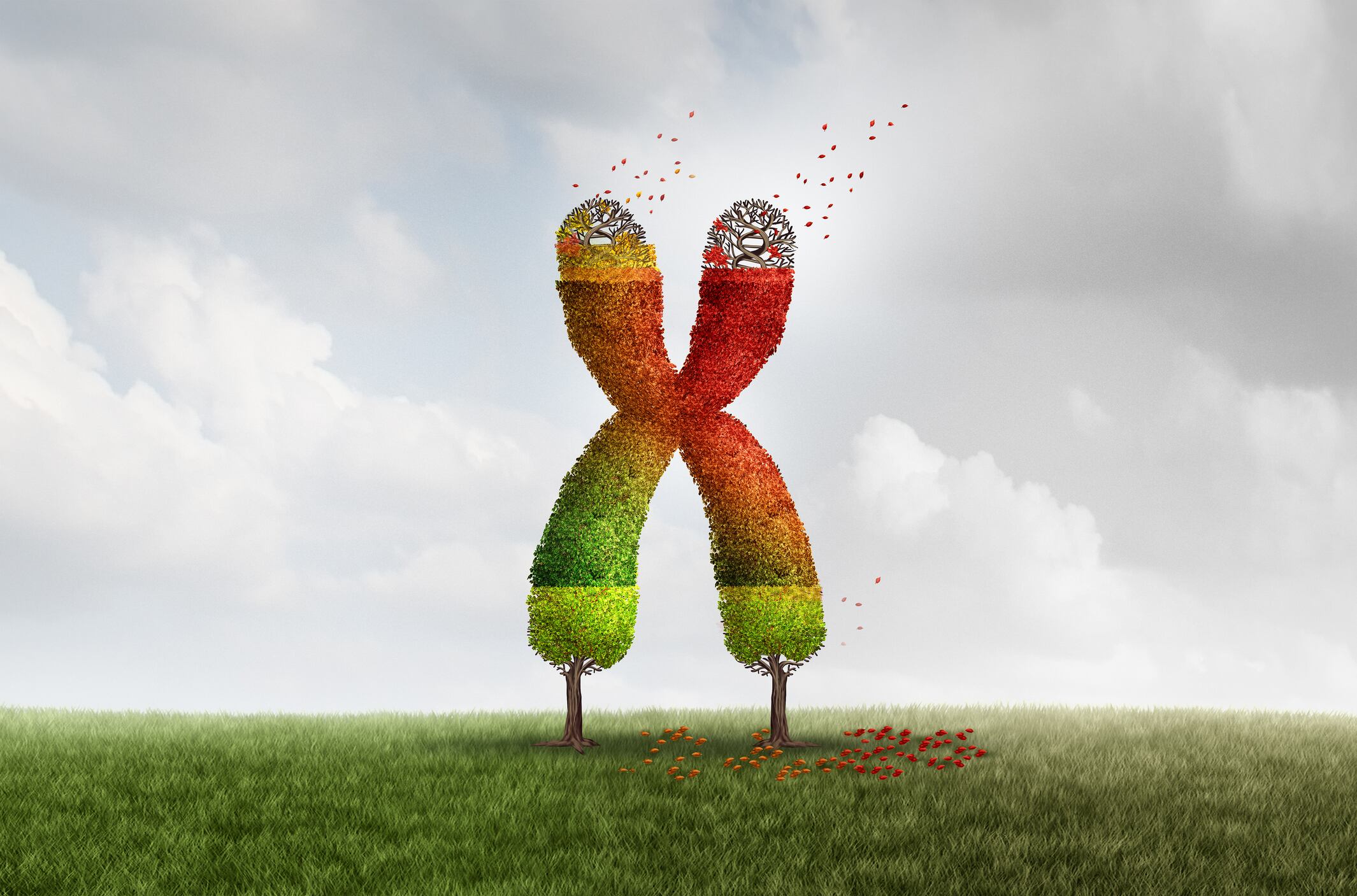 Telomeres, DNA sequences at the end of chromosomes that shorten as cells replicate and age, do not always correlate with chronological age, and there is evidence to suggest telomere shortening may be modifiable by lifestyle factors.
