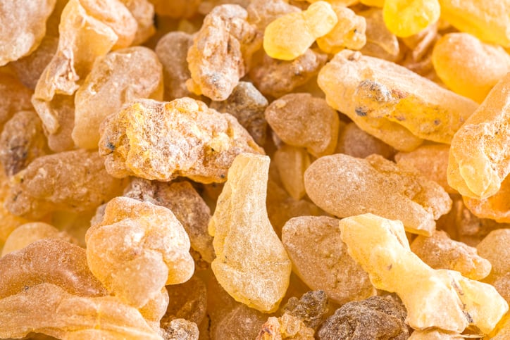 Dried resin from Boswellia serrata, also known as Indian frankincense