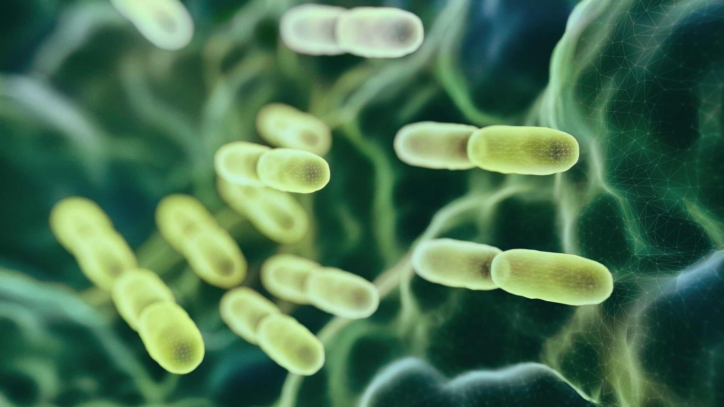 Abstract Lactobacillus Bulgaricus Bacteria - 3d rendered microbiology image. Medical research, health-care concept. SEM (TEM)scanning view