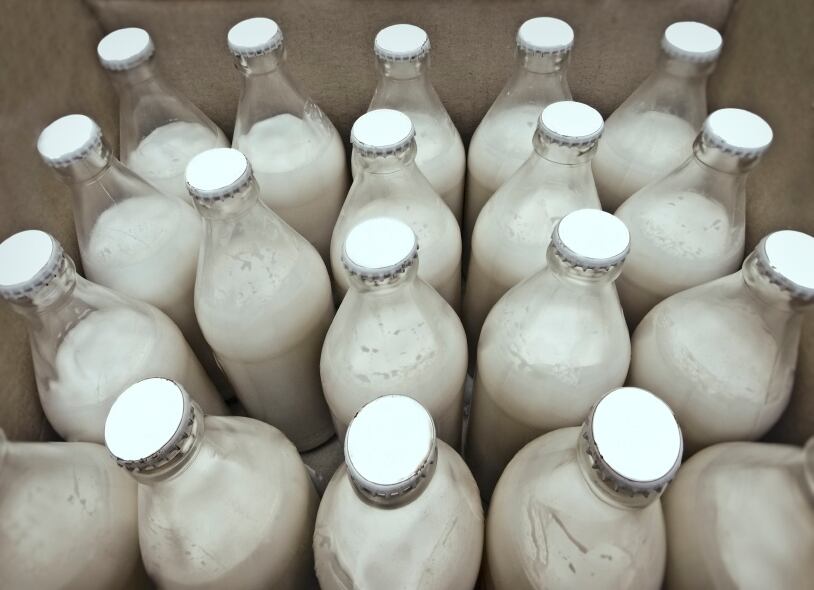 milk-dairy-drink-calcium.jpg