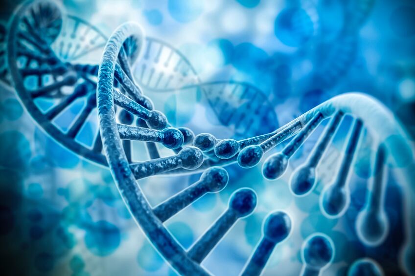 Diet-secrets-could-be-revealed-with-DNA-metabarcoding.jpg
