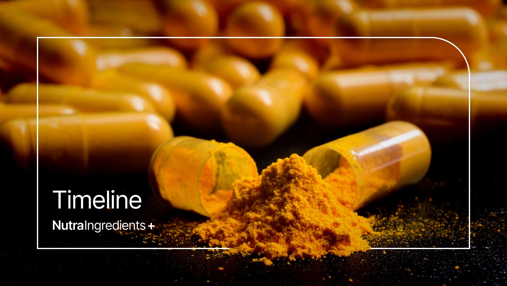 Turmeric Timeline