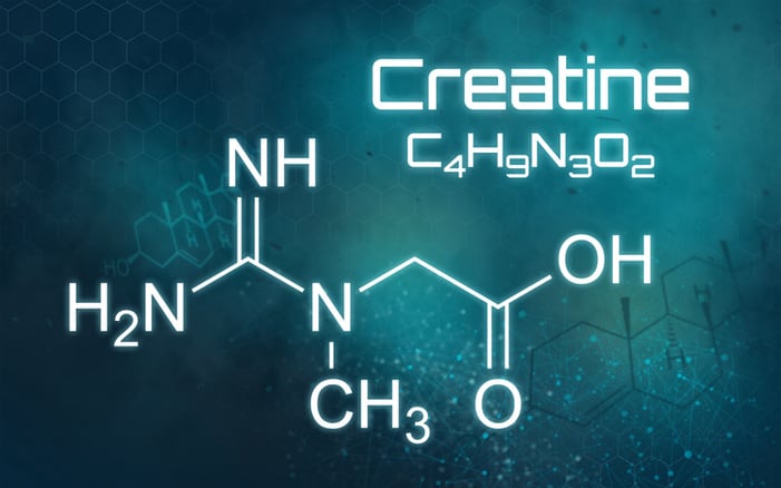Creatine-could-benefit-cognitive-function-but-more-research-is-needed.jpg