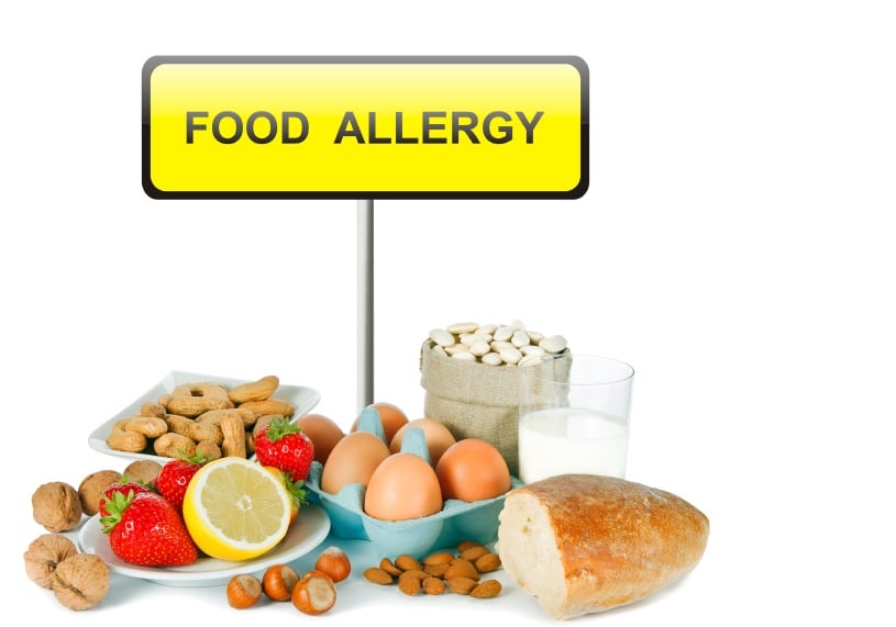 Gut bacteria changes a target to address food allergies, study finds