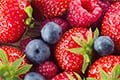 Polyphenol-C: a new premium vitamin C for today provides wide-spectrum berry polyphenols 
