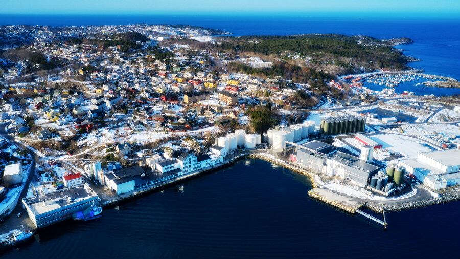 Omega-3 supplier announces another major expansion to keep up with demand