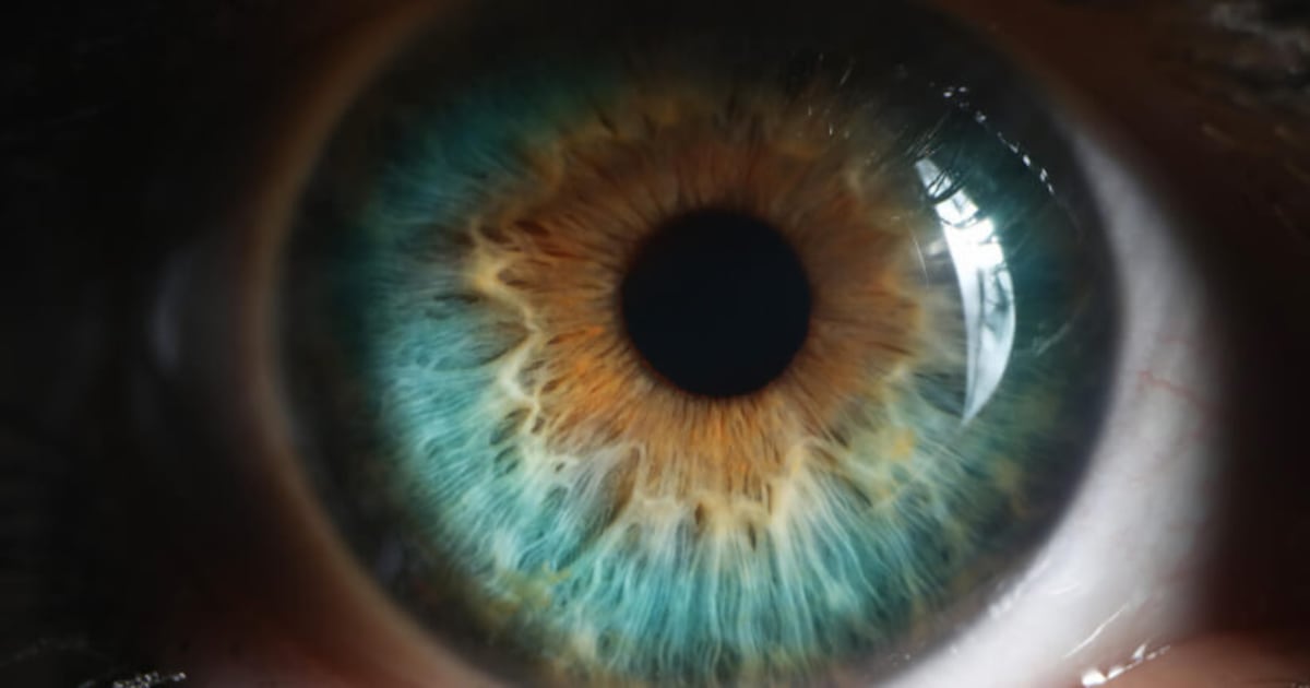 Catching up with eye health supplements: A round-up of the latest science