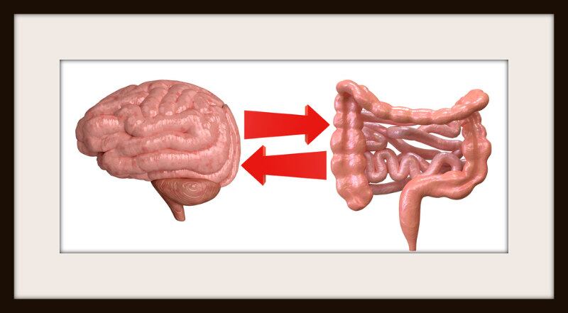 New study links fiber intake to PTSD