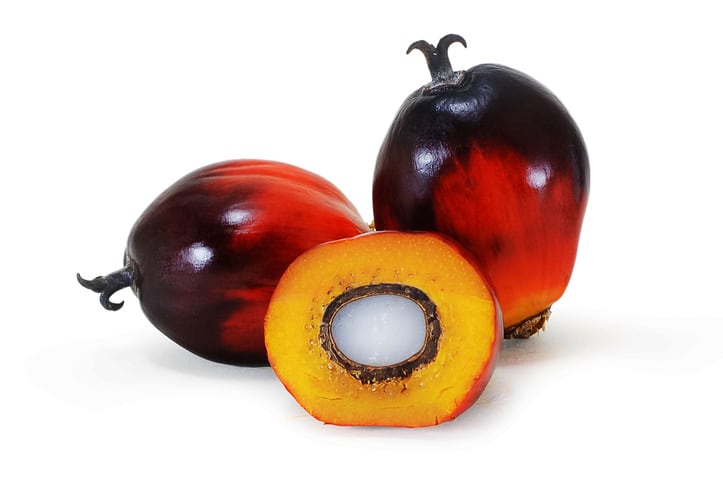 New palm fruit ingredient touts sustainability, health benefits