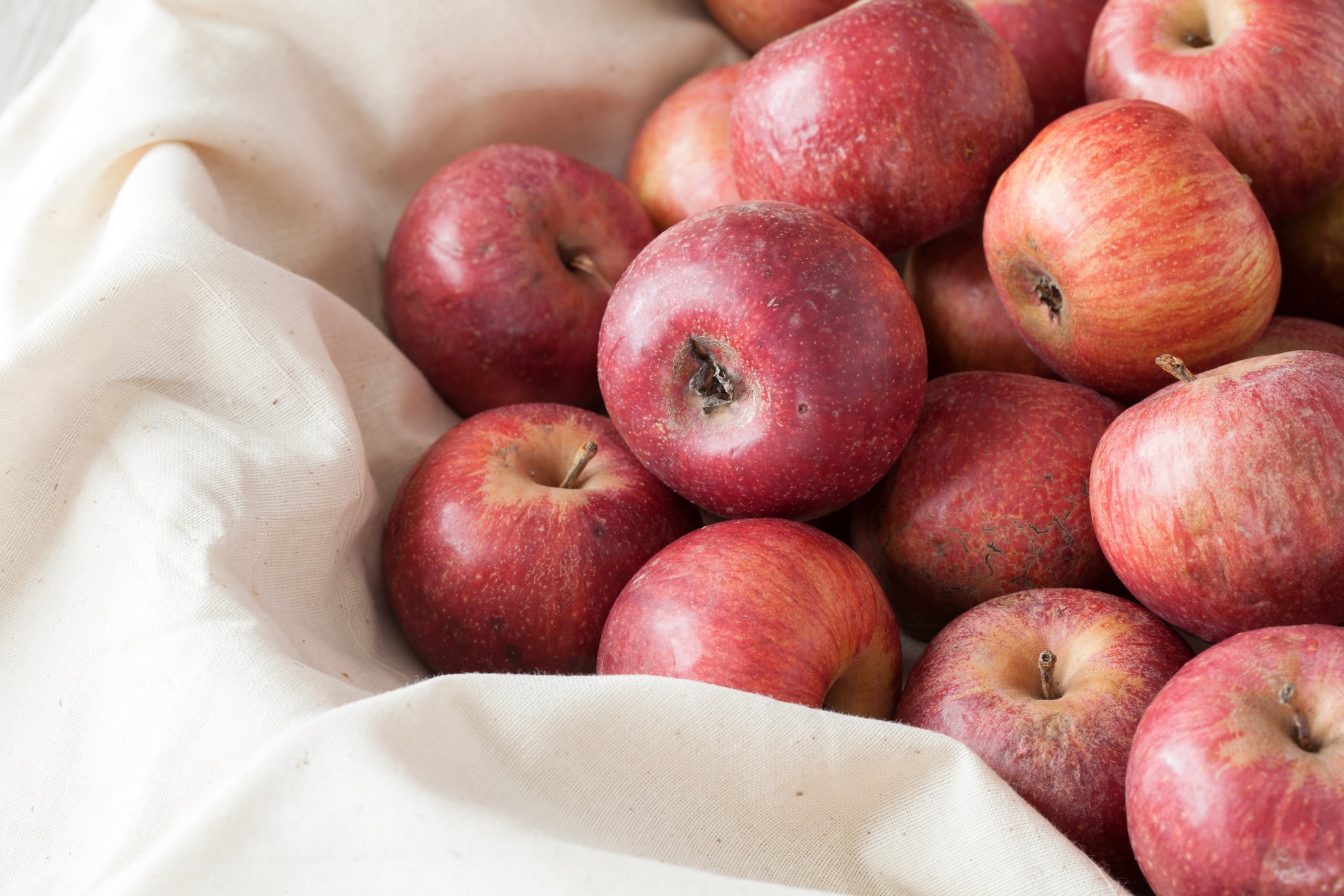 Apple extract may help control cholesterol levels in healthy people