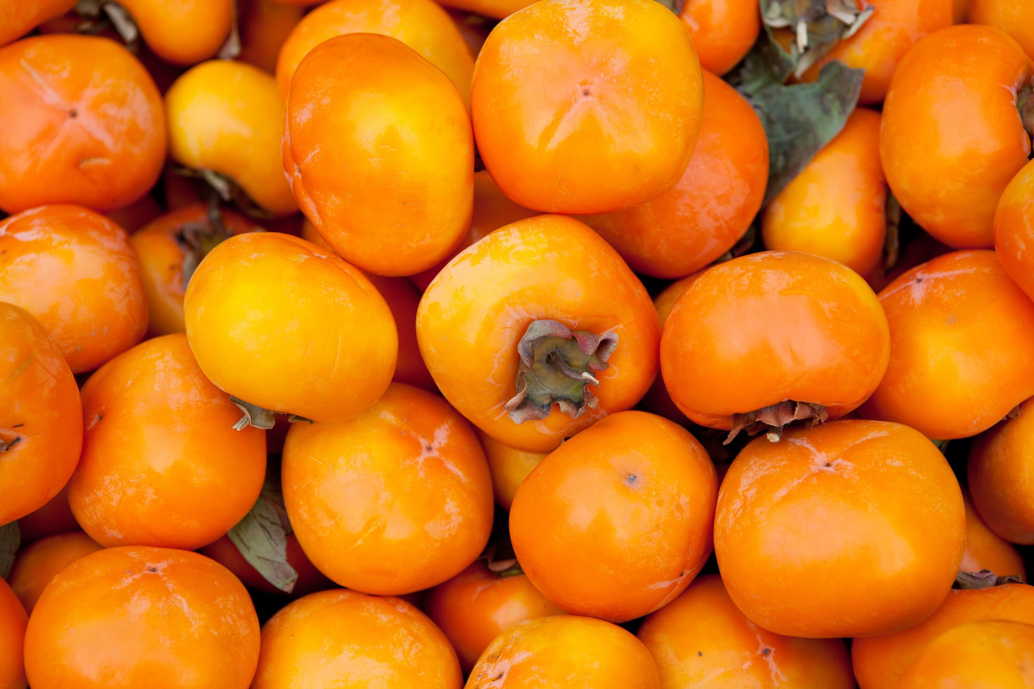 Persimmon extract shows weight management potential