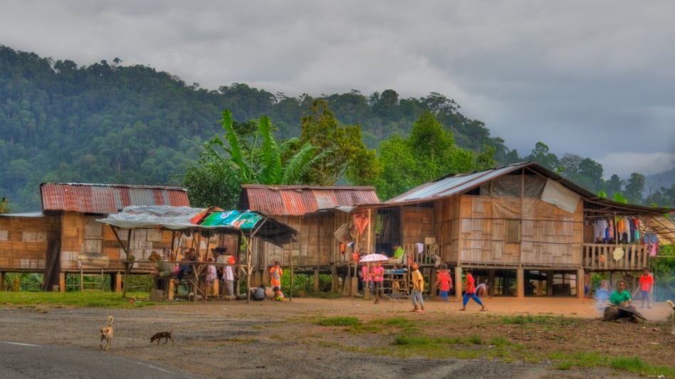 Indigenous microbiome: Monash University Malaysia to research gut health of Orang Asli tribes