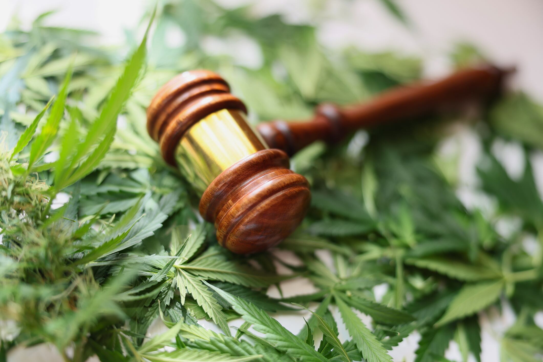 "Regulatory certainty is what the industry has been demanding for years," said Jonathan Miller, general counsel, US Hemp Roundtable.