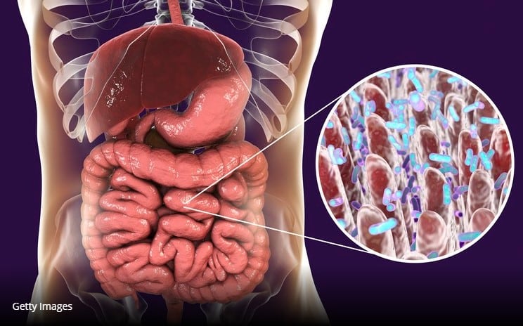 Microbiome maintenance: How good gut health could tackle COVID-19 