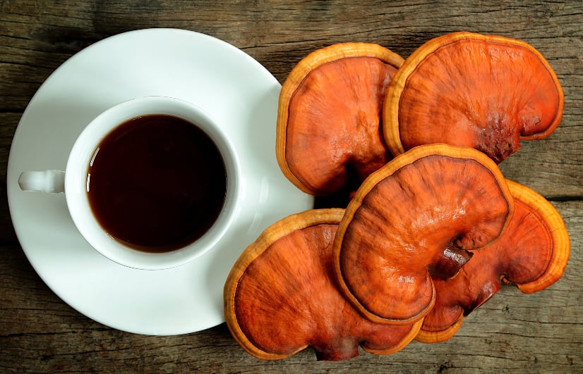 Tea-and-mushrooms-Two-promising-targets-for-tackling-cognitive-decline-amid-failure-of-big-pharma.png
