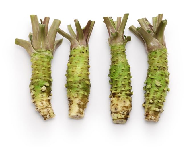 Dr. Isao Okunishi, known as “Dr. Wasabi,” has spent nearly three decades researching wasabi and its bioactive compounds, including hexaraphane (6-MSITC).