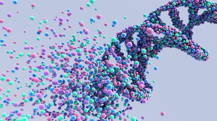 Geltor brings Elastapure to the skin care ingredient market