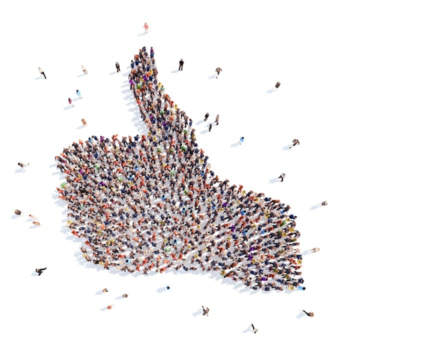 EFSA confirm safety of D-ribose in tea and sports drinks 