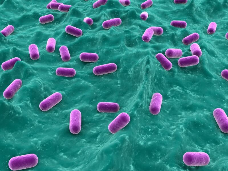 Symrise and Probi explore probiotic ingredient uses for skin 