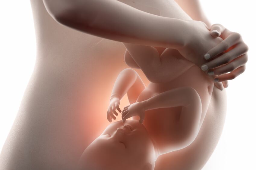 High-fat-diet-during-pregnancy-linked-to-Alzheimer-s-prevention-in-babies.jpg