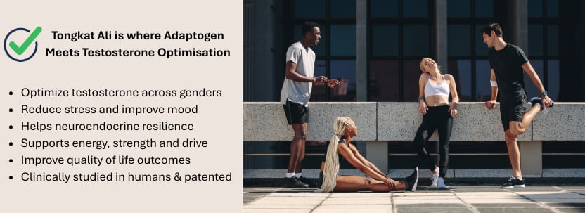 Tongkat Ali adaptogen optimises testosterone