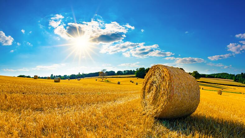 Protein from waste: a sustainable solution with consumer appeal?