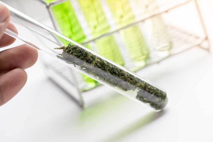 cbd-Sinhyu.jpg