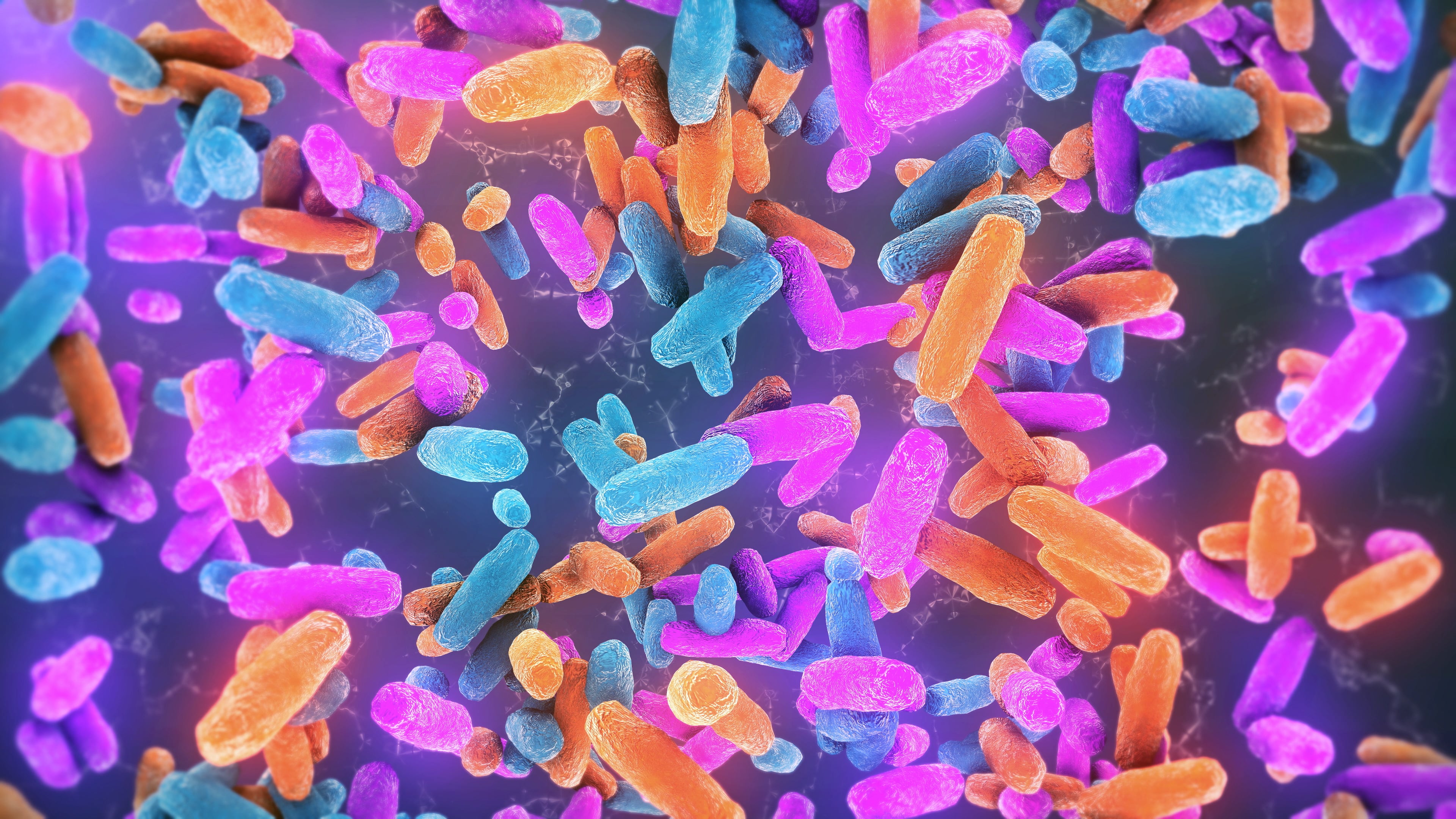 Bacteria Lactobacillus in human intestine,Beneficial healthy intestinal bacterium microflora,Probiotic bacterium