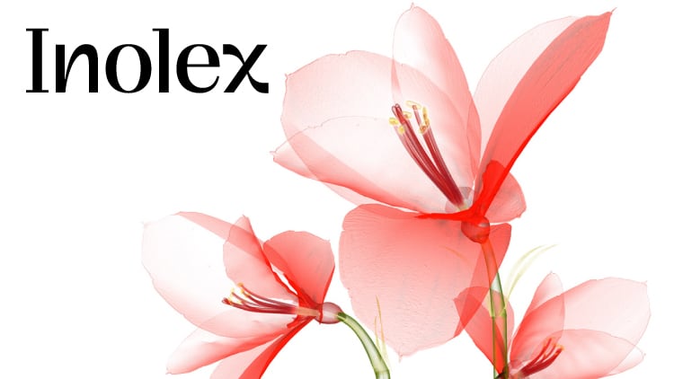 INOLEX.jpg