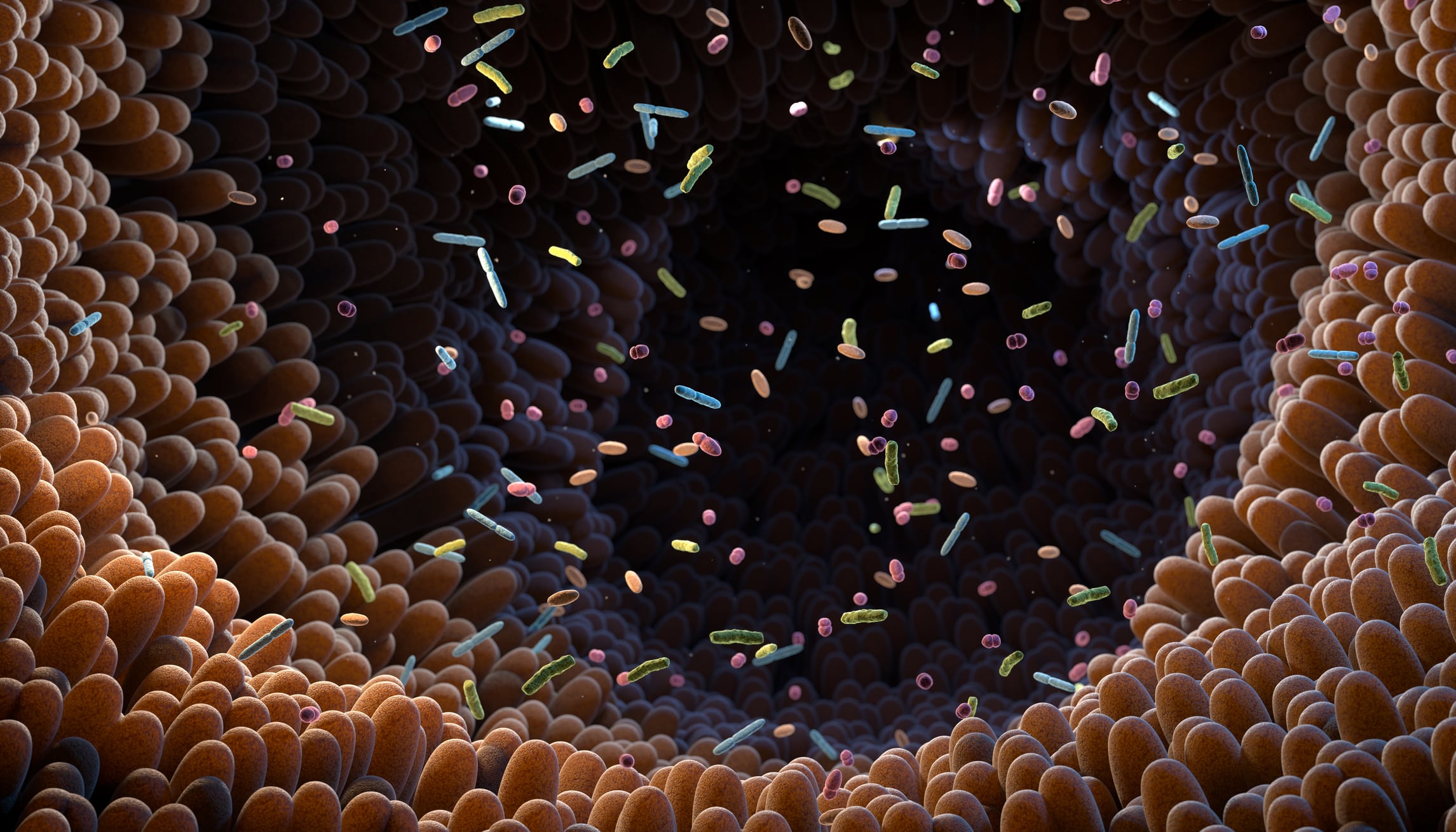 The importance of cultivating the ‘microbial garden’ for longevity