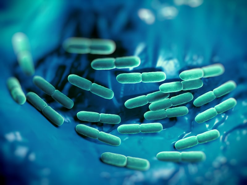 Chr. Hansen releases probiotic blend that may reduce inflammation in preterms