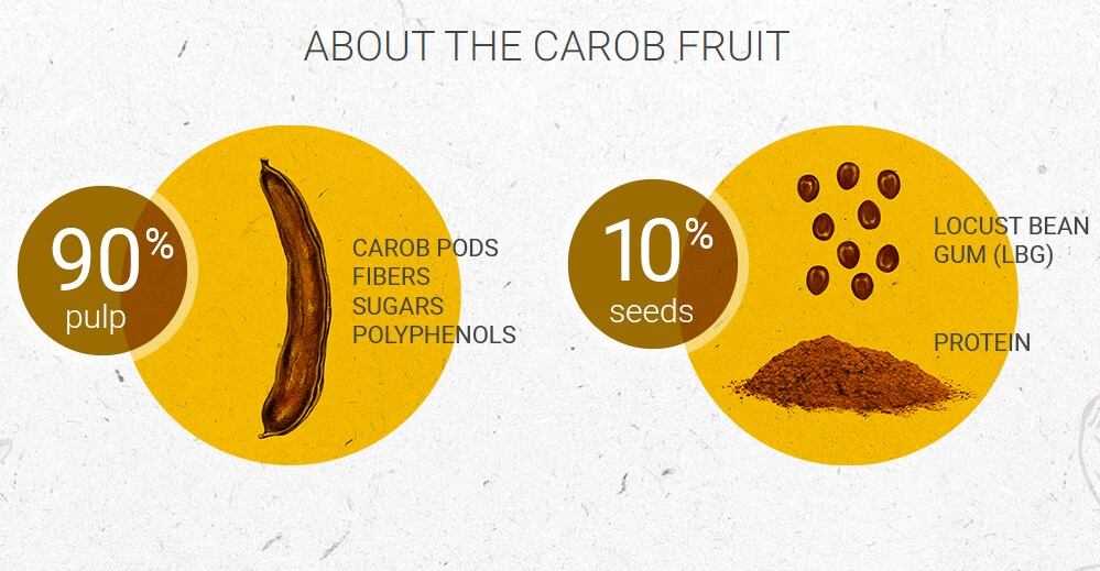 about-the-carob-fruit.jpg