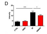 Picture-2-D-Zhao-et-al-histogram.png