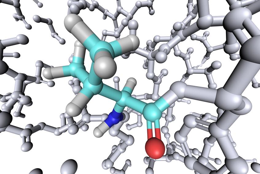 amino-acid-protein-petides-research-iStock-Shunyu-Fan.jpg