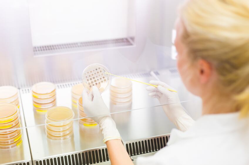 microbiology-lab-research-petri-probiotics-bacteria-iStock-kasto80.jpg