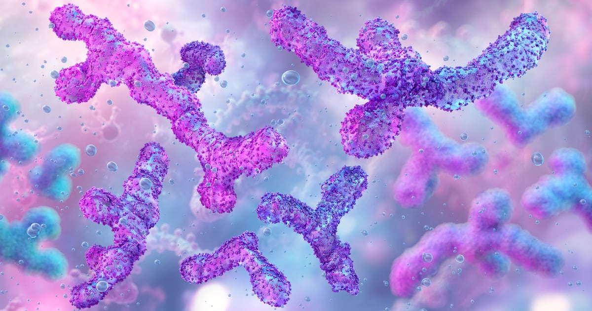 Gut microbiome’s hidden role in women’s hormonal health Gut microbiome’s hidden role in women’s hormonal health
