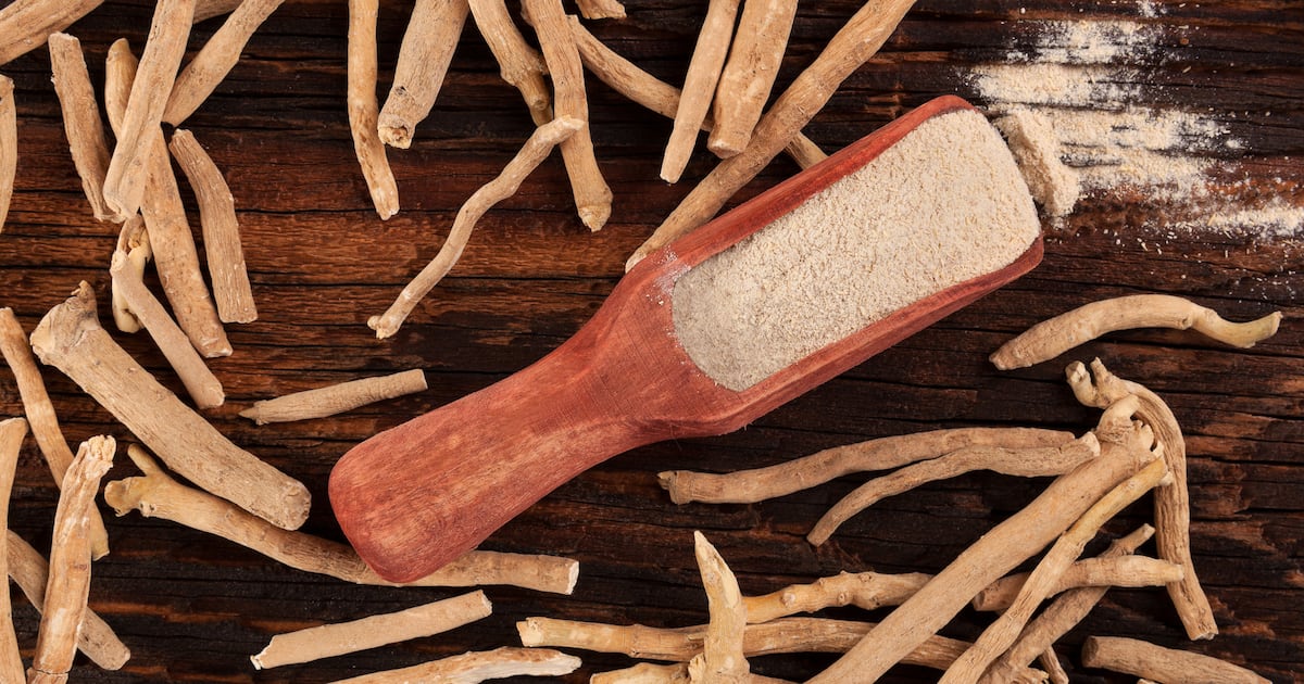 ‘Pivotal milestone’ study backs long-term safety of ashwagandha root extract ‘Pivotal milestone’ study backs long-term safety of ashwagandha root extract