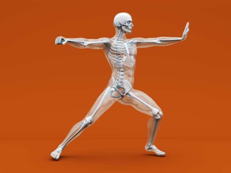Nutrition trumps exercise in strengthening bone, mice study finds 