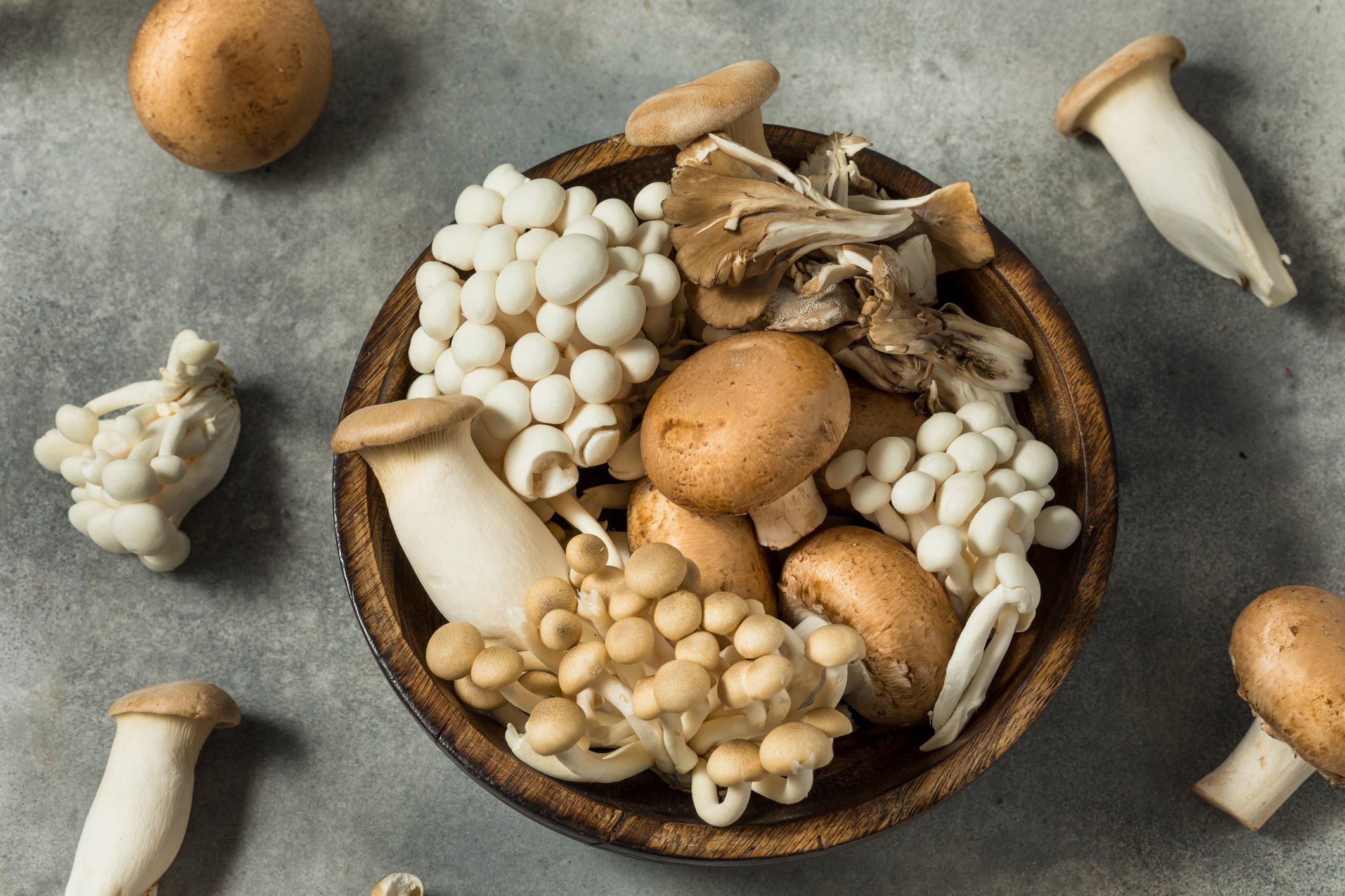 Organic Raw Assorted Gourmet Mushrooms with Oyster Cremini and Trumpet