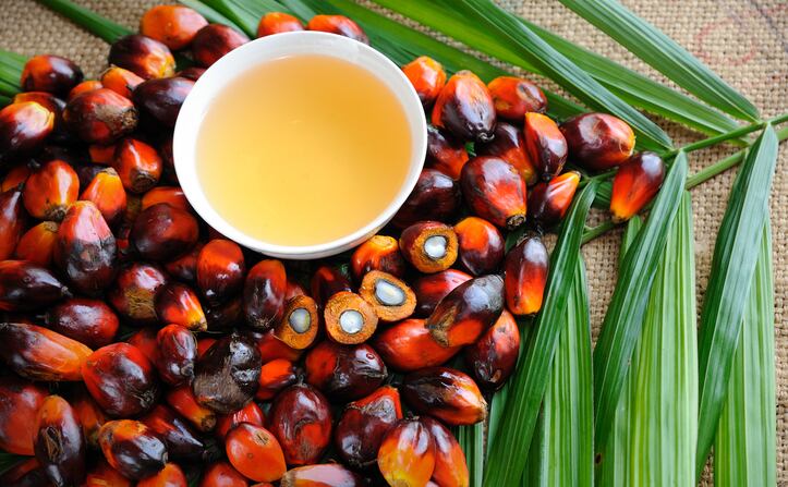 Indonesia palm oil export ban: Functional ingredient suppliers expecting higher working capital, longer lead time