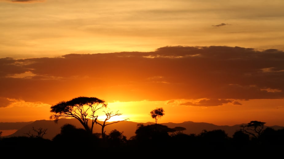 An-African-National-Park.jpg