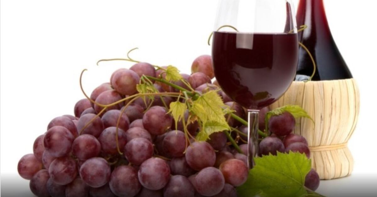 Grape Intake Researchers find prebiotic benefits from grape powder intake