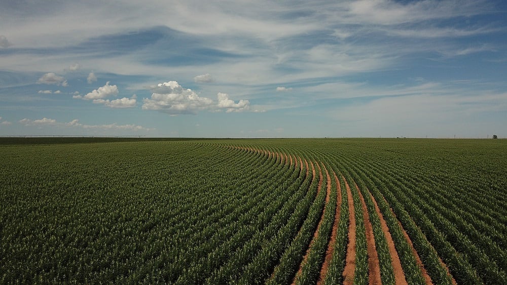 Equinom boosts food security and profitability with new method